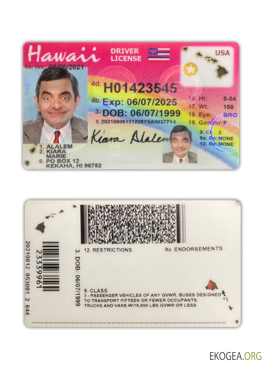 USA Hawaii driving license 2021 present